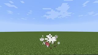 我的世界大本营