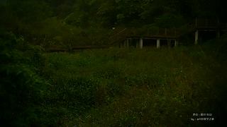 一起看英仙座流星雨