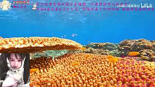 一个打的不错的甜妹儿OvO