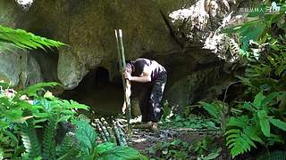 东南亚丛林生活实录