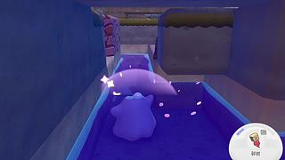 【猫叔】pokopia首发直播啦~~~