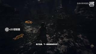 无兄弟不篮球 4840534