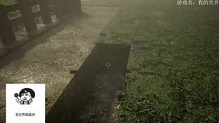 电影级画质，失眠者福音~