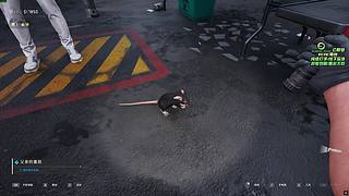 主打一个网瘾大