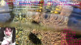 一个打的不错的甜妹儿OvO