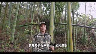 娱乐大于一切 10440627