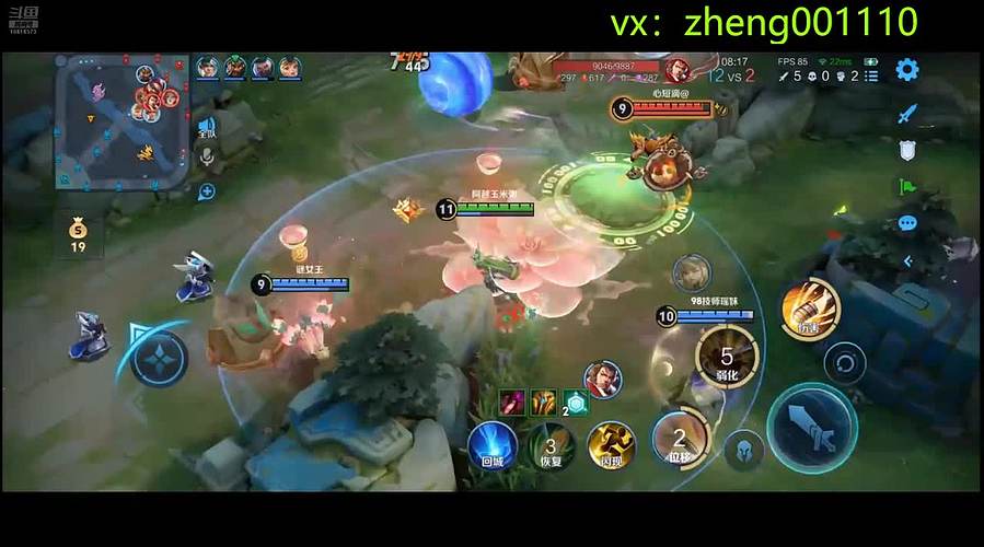 国服野射有车位  可帮打