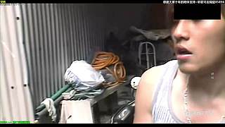 【神乐】祝愿大家前路繁花似锦~所愿皆可得