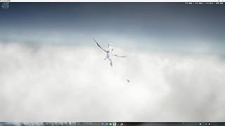 细九永不充钱的直播间