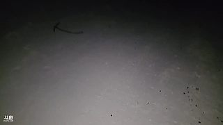 出发马尔代夫8号回斯里兰卡