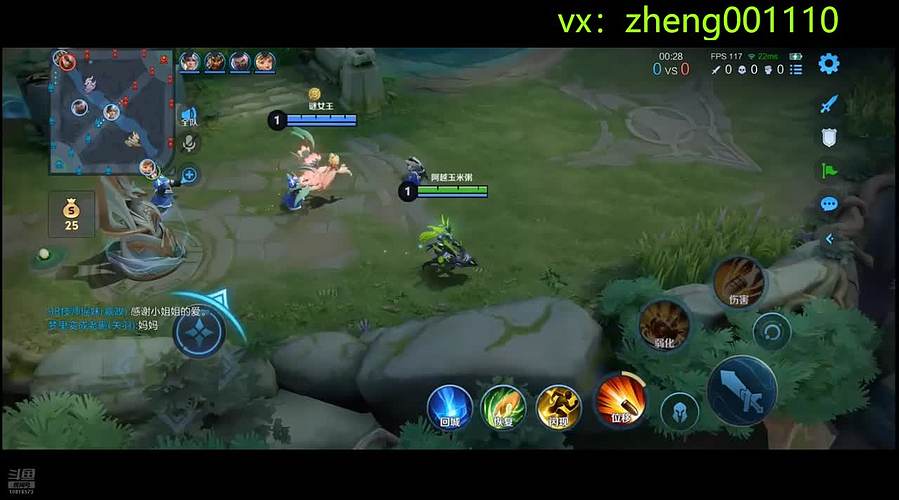 国服野射有车位  可帮打