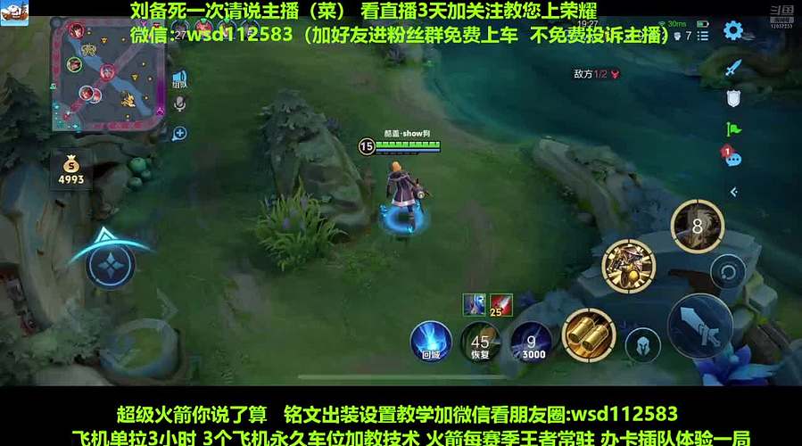 免费带粉上车，五万场国服刘备一带四