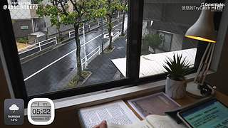 重生之奋发涂墙