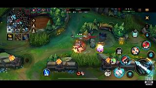 大岽AD（英雄联盟手游）