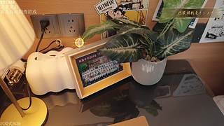 新游沉浸式体验