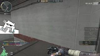 专业冲分！素质主播~