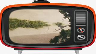 王者茶哥的直播间