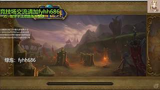 V法-全职业PVP上分(国美欧亚）