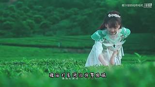 输入瑟福王（sfw）激励主播