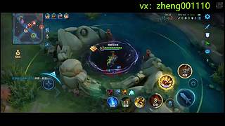 国服野射有车位  可帮打