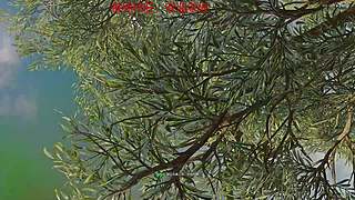 14分左右单刷炼狱空间中