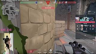 怎么好像有一阵风  11831478