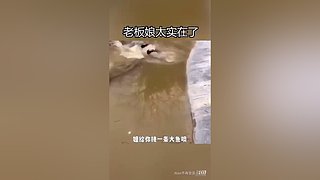 星球大战前线2玩玩看。