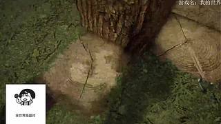 电影级画质，失眠者福音~