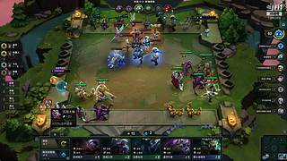 我是菜鸡，别开团