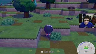 先玩失落星船，然后玩pokopia