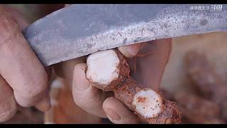 娱乐大于一切 10440627