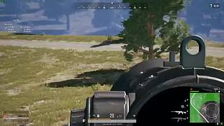 假老练雨林小王子