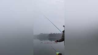 亮gnailux的直播间