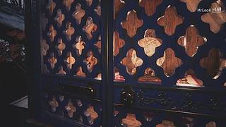 啥也不懂的萌新主播 8553831