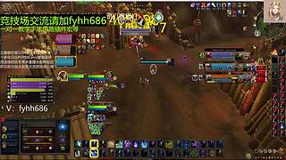 V法-全职业PVP上分(国美欧亚）