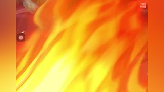 琪琪695的直播间