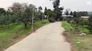 早起的虫子被鸟吃 12802825