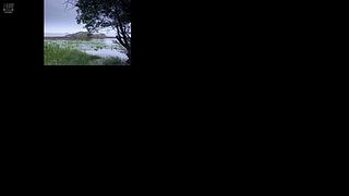 【太平】天父天兄下凡