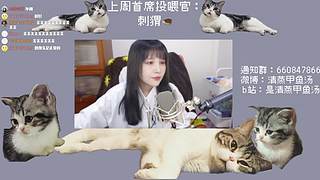 甲鱼：世上无难事，只要肯放弃