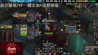 盗贼PVP 2400 攻略分享
