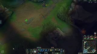 快乐风男or野区打野