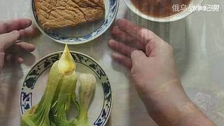 喜欢我的视频或想和我玩，请关注，打赏我哟