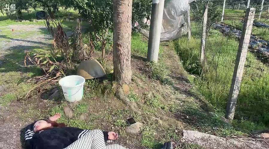 早起的虫子被鸟吃 12802825