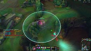 黑色玫瑰大师双排