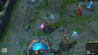 早期猫咪驯服野生猫爬架记录