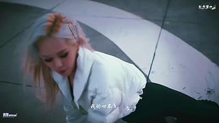 风又摇醒昨夜的梦