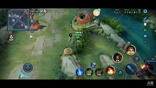 只会玩打野 9657637