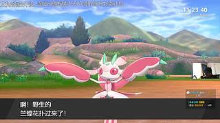 给我擦皮鞋 11921577