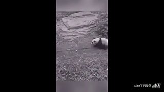 星球大战前线2玩玩看。