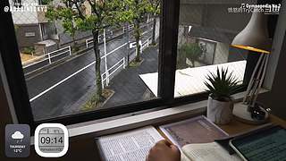 重生之奋发涂墙